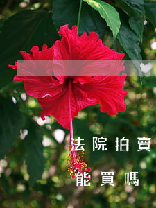 法院拍賣的東西可以私買嗎(司法拍賣的東西能買嗎)