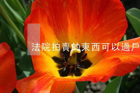 法院拍賣的東西可以過戶嗎