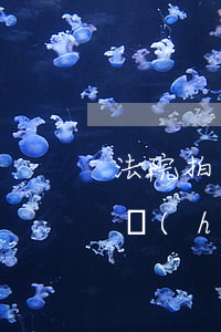 法院拍賣的汽車可以過戶嗎(法院拍賣的車牌號(hào)能過戶嗎)