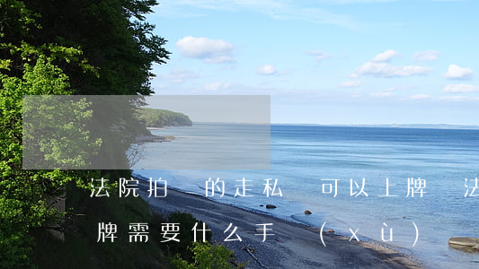 法院拍賣的走私車可以上牌嗎(法院拍賣車上牌需要什么手續(xù))