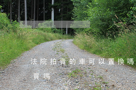 法院拍賣的車可以置換嗎(法院拍賣車輛可以買嗎)