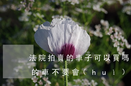 法院拍賣的車子可以買嗎(在法院里拍賣出來的車不要會(huì)怎么樣)
