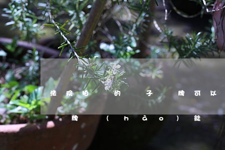 法院拍賣的車子車牌可以過戶嗎(法院拍賣的車牌號(hào)能過戶嗎)