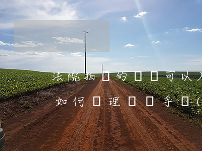 法院拍賣的車輛可以入戶嗎(法院拍賣的車輛如何辦理過戶手續(xù))