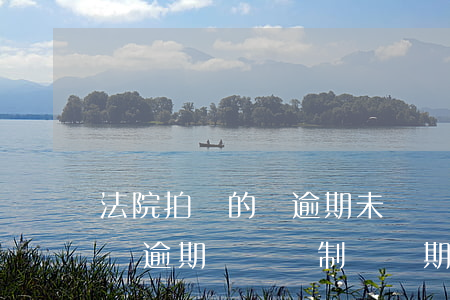 法院拍賣的車逾期未檢驗強制注銷(法院拍賣車逾期檢驗強制報廢期止)