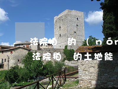法院拍賣的農(nóng)村別墅可以買嗎(法院拍賣的土地能買嗎)