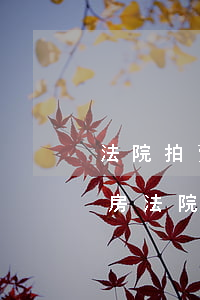 法院拍賣的農村房屋可以買嗎(唯一的農村住房法院可以拍賣嗎)