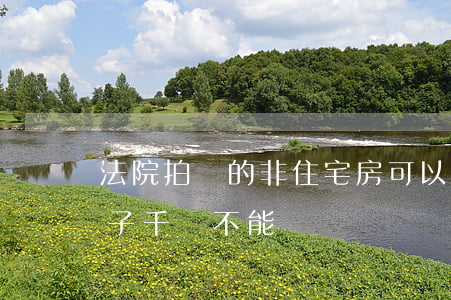 法院拍賣的非住宅房可以買嗎(法院拍賣的房子千萬不能買)