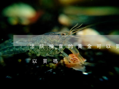 法院拍賣的黃金可以買嗎(法院拍賣的黃金可以買嗎)