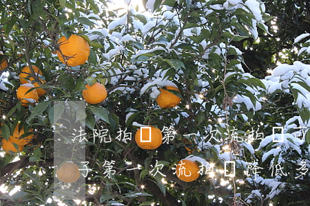 法院拍賣第一次流拍還可以買嗎(法院拍賣房子第一次流拍會降低多少)