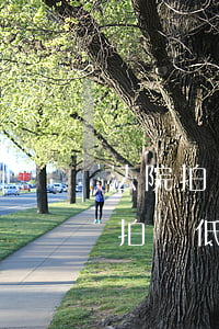 法院拍賣評(píng)估可以商量嗎(法院拍賣低于評(píng)估價(jià)誰(shuí)承擔(dān))
