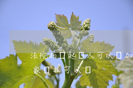 法院拍賣起訴人可以參加競拍嗎(拍賣只有一家競拍可以嗎?)