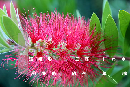 法院拍賣車三年沒(méi)年檢可以買嗎(司法拍賣的汽車年檢逾期)