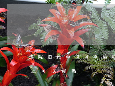 法院拍賣車位可以暗箱操作嗎(法院拍賣的車庫可以買嗎)