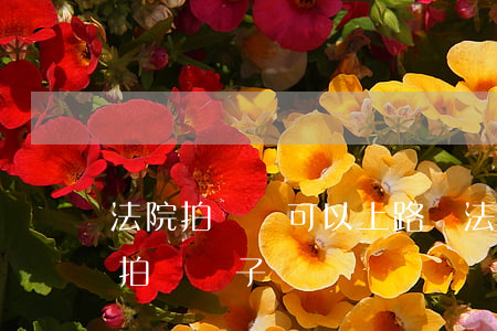 法院拍賣車可以上路嗎(法院什么情況下可以拍賣車子)