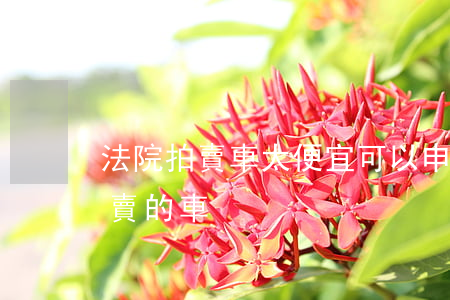 法院拍賣車太便宜可以申訴嗎(怎么買法院拍賣的車)