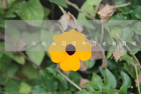 法院拍賣車年檢逾期寬限期是多久