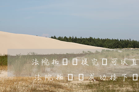 法院拍賣車提完車可以直接開(kāi)嗎(法院拍賣車成功,接下來(lái)會(huì)怎么辦?)