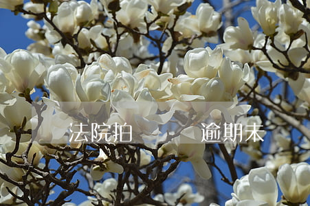 法院拍賣車輛逾期未檢驗(yàn)