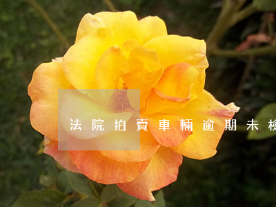 法院拍賣車輛逾期未檢驗