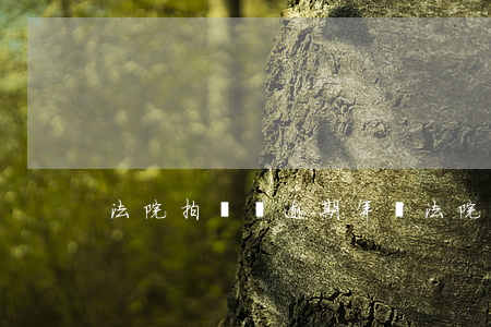 法院拍賣車逾期年審(法院拍賣車年審過期了)