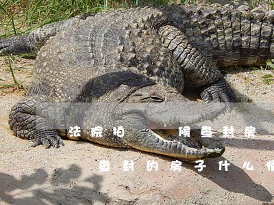 法院拍賣輪候查封房產(chǎn)可以買嗎(查封的房子什么情況下可以拍賣)