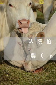 法院拍賣農(nóng)村的房屋可以買嗎(農(nóng)村房子被拍賣 對方有土地使用權(quán)嗎)