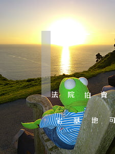 法院拍賣農村宅基地可以買嗎(法院拍賣農村宅基地可以買么)