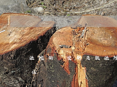 法院拍賣逾期交款(法院拍賣違約責(zé)任)