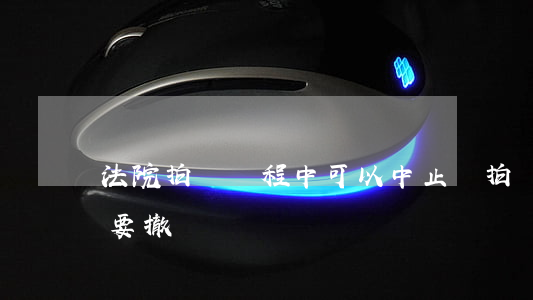 法院拍賣過程中可以中止嗎(拍賣成功后法院要撤銷)