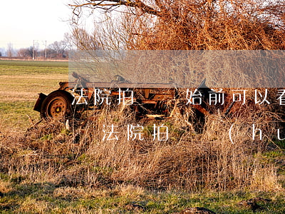 法院拍賣開始前可以看到報(bào)名人嗎(法院拍賣會(huì)怎么參加)