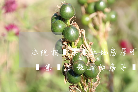 法院拍賣集體土地房屋可以買嗎(法院可以拍賣集體土地上的房子嗎?)