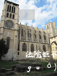 法院拒不執(zhí)行罪孩子可以出國(guó)嗎(被法院強(qiáng)制執(zhí)行可以出國(guó)嗎)