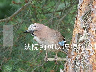 法院拘可以连续拘留吗(拘留多久法院才会判)