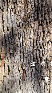 法院拘留了債務(wù)人可以會(huì)見嗎(法院拘留了債務(wù)人15天能探視)