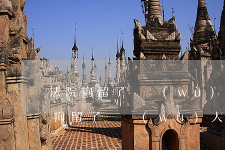 法院拘留了債務(wù)人可以會見嗎(法院拘留了債務(wù)人15天能探視)