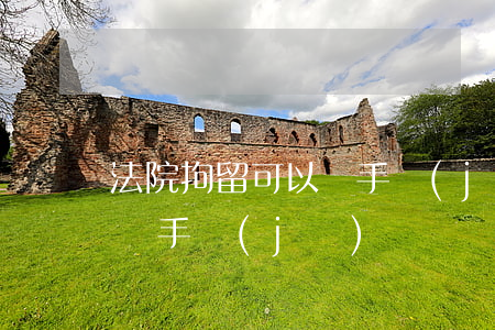 法院拘留可以帶手機(jī)嗎(去拘留可以帶手機(jī)嗎)