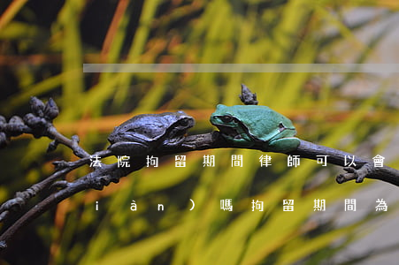 法院拘留期間律師可以會(huì)見(jiàn)嗎(拘留期間為什么不讓見(jiàn)律師)