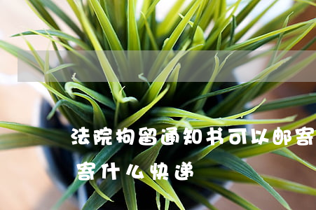 法院拘留通知书可以邮寄吗(拘留通知书一般寄什么快递)