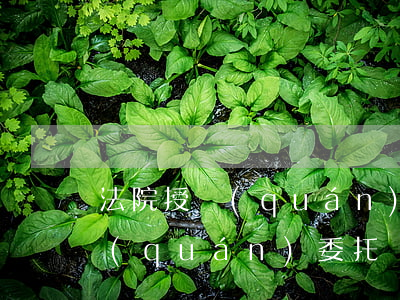 法院授權(quán)委托書模板(法院授權(quán)委托書模板文檔下載)