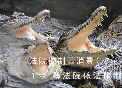 法院控制高消費(fèi)可以坐飛機(jī)嗎(法院依法限制高消費(fèi)能坐飛機(jī)嗎)