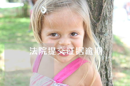 法院提交证据逾期