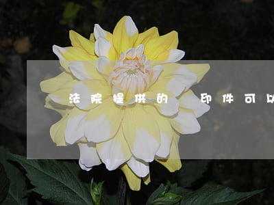 法院提供的復印件可以鑒定嗎