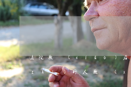 法院撤銷(xiāo)后可以貸款嗎(被執(zhí)行人撤銷(xiāo)后多久能貸款)
