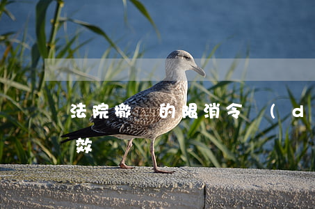 法院撤銷的限消令當(dāng)天可以生效嗎