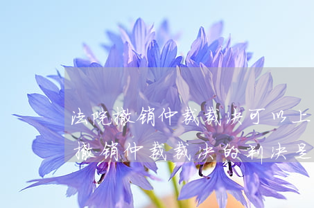 法院撤销仲裁裁决可以上诉吗(终极人民法院撤销仲裁裁决的判决是否可以上诉)