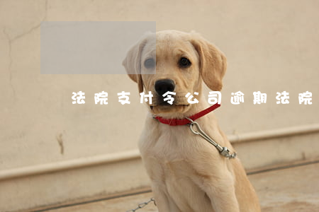 法院支付令公司逾期(法院支付令不履行)
