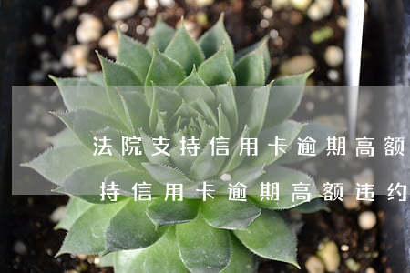 法院支持信用卡逾期高额违约金吗-法院支持信用卡逾期高额违约金吗怎么算