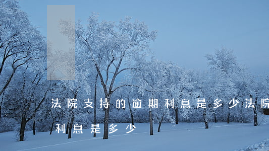 法院支持的逾期利息是多少(法院支持的逾期利息是多少)