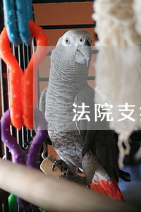 法院支持网贷的逾期费吗